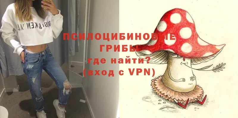 OMG зеркало  Игра  Псилоцибиновые грибы Psilocybe 